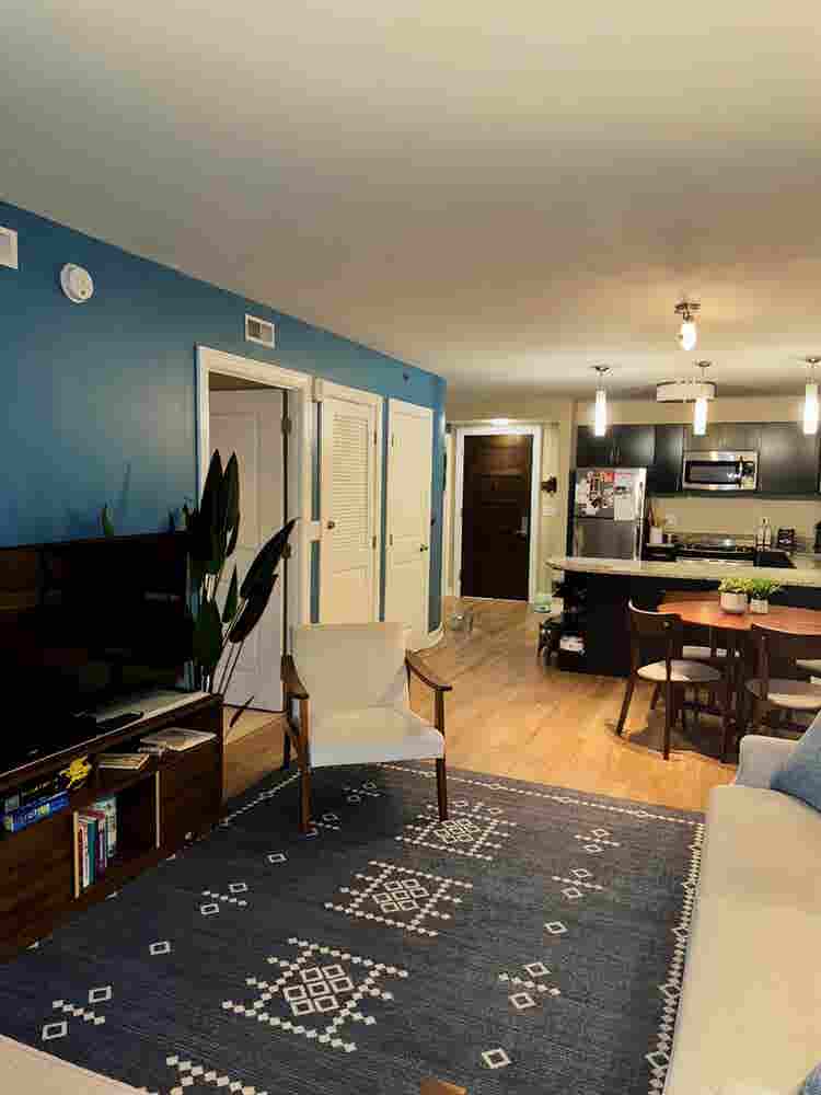 1bed in downtown dc!