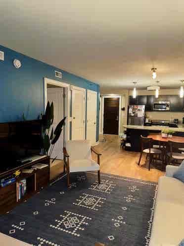 1bed in downtown dc!