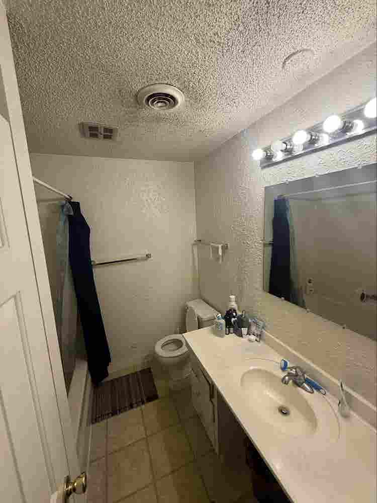 Roommate Needed