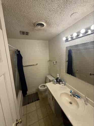 Roommate Needed