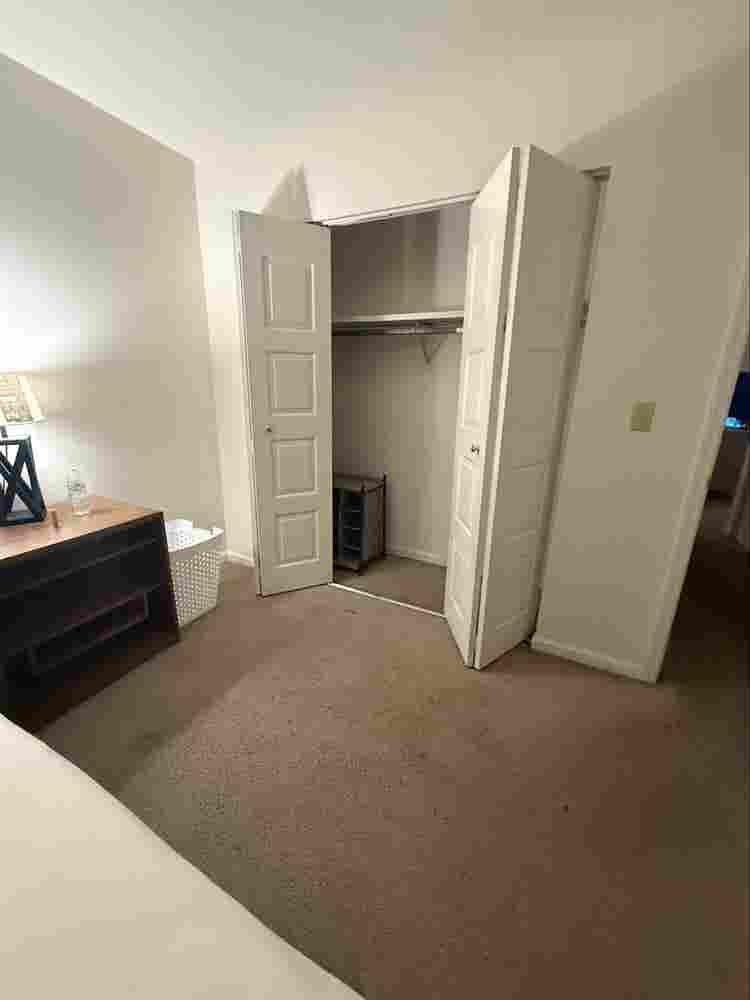 Roommate Needed