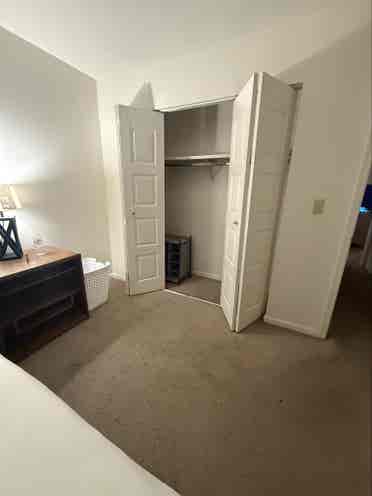 Roommate Needed