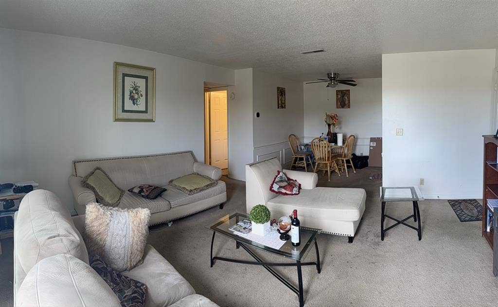 Roommate Needed