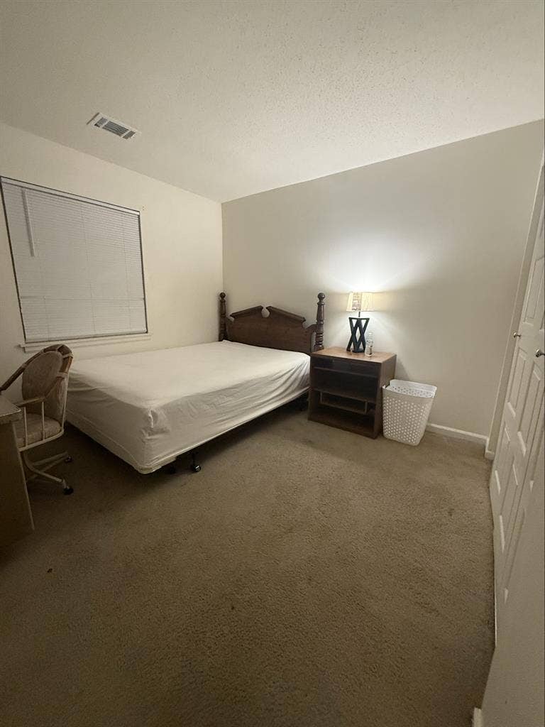 Roommate Needed
