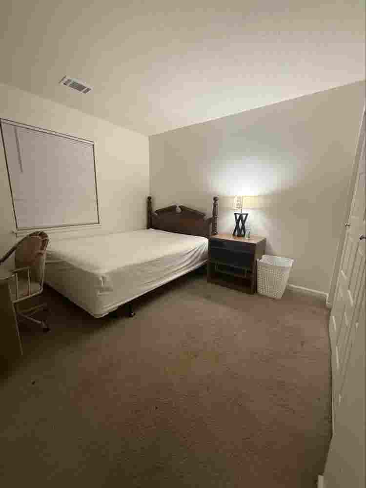 Roommate Needed