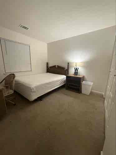 Roommate Needed