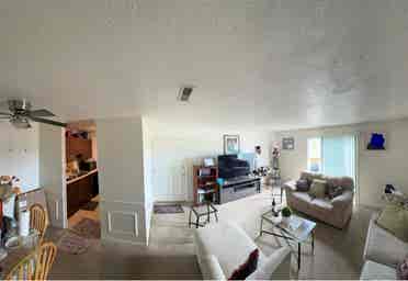 Roommate Needed
