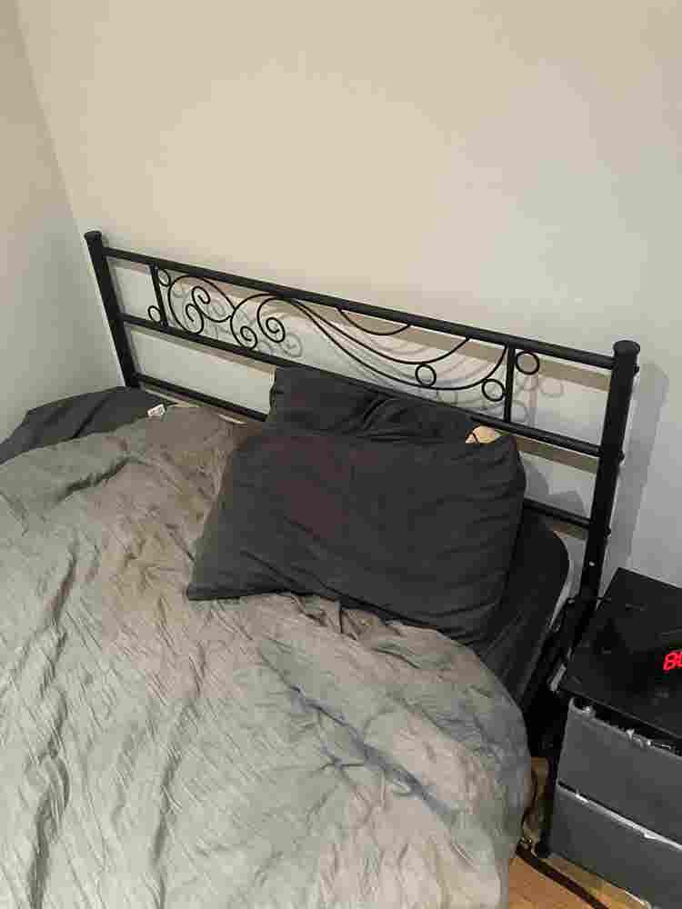 Room in nice apt near Central P W/D