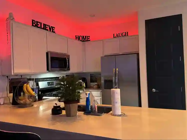 Room for rent/ Female only!