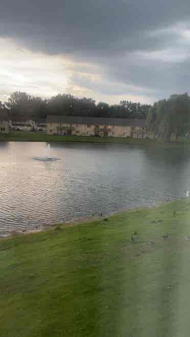 Room available/Shelby Twp