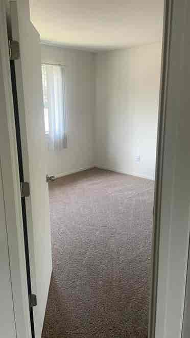 Room available/Shelby Twp