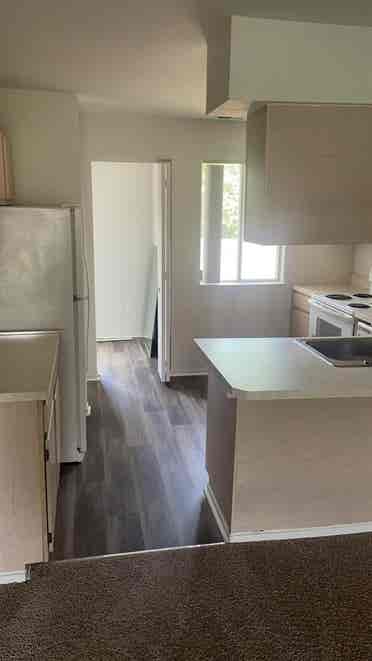 Room available/Shelby Twp