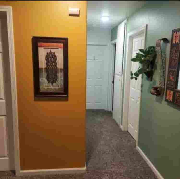 Looking for a responsible roommate