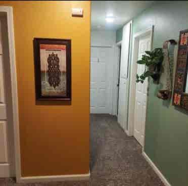 Looking for a responsible roommate