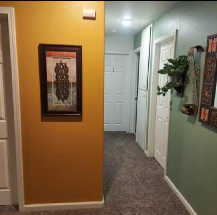 Looking for a responsible roommate