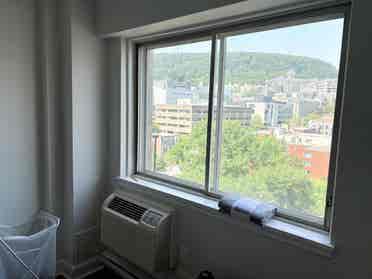 1 Bed Apartment Downtown