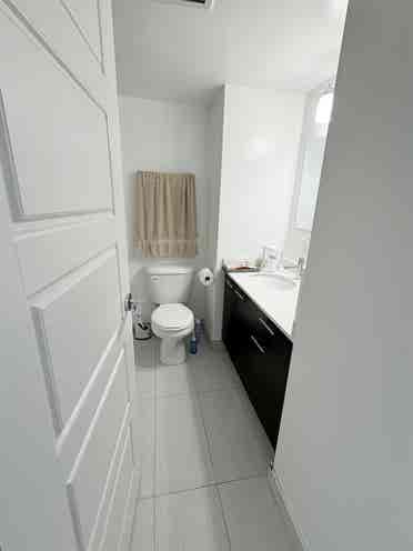 1 Bed Apartment Downtown