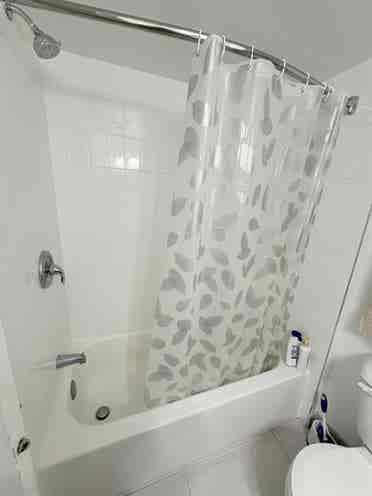 1 Bed Apartment Downtown