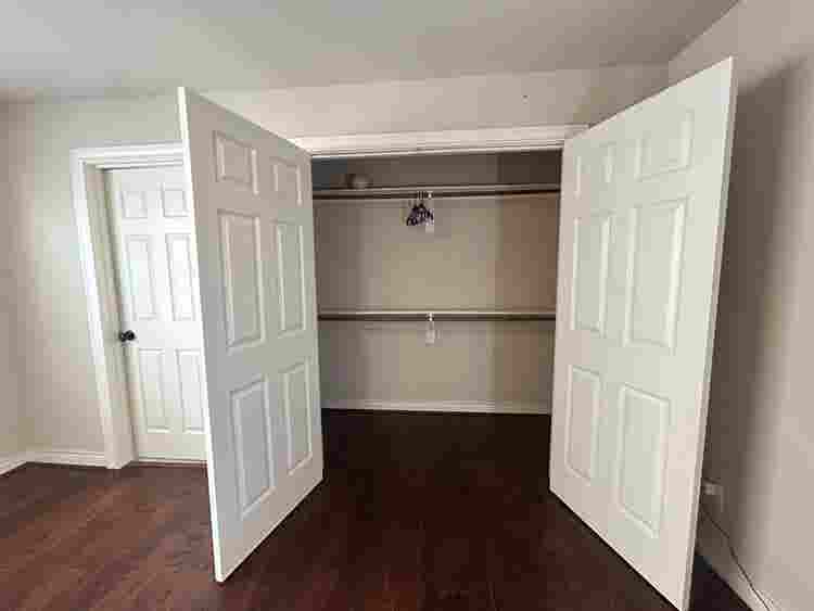 Female Roommate Wanted