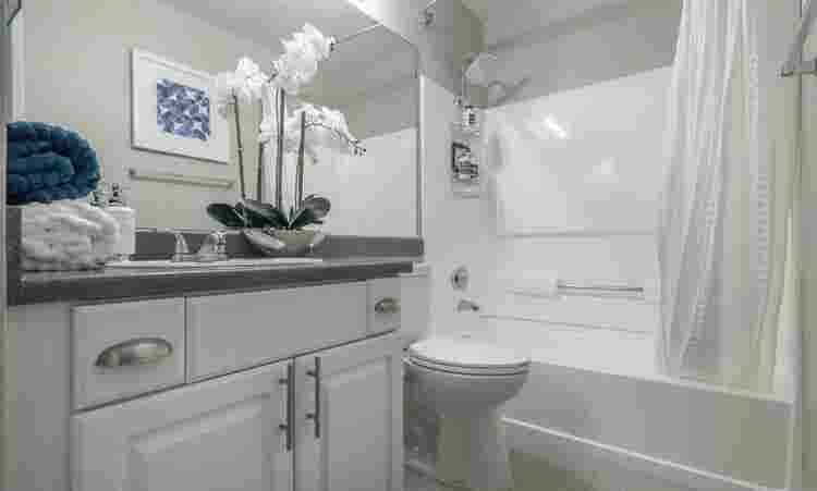 Phoenix AZ room 4 rent