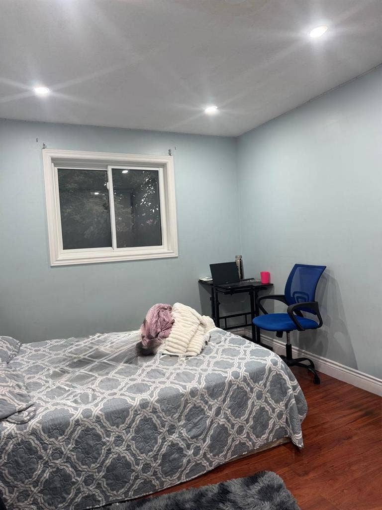 New Listing