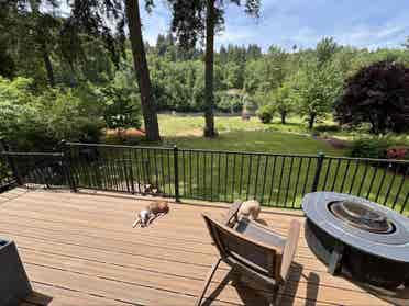 Need 2 roommates  - Riverfront Home