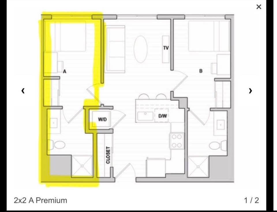 Apt, will pay first month