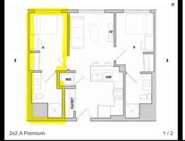 Apt, will pay first month