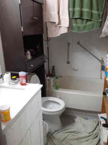 looking for roomer