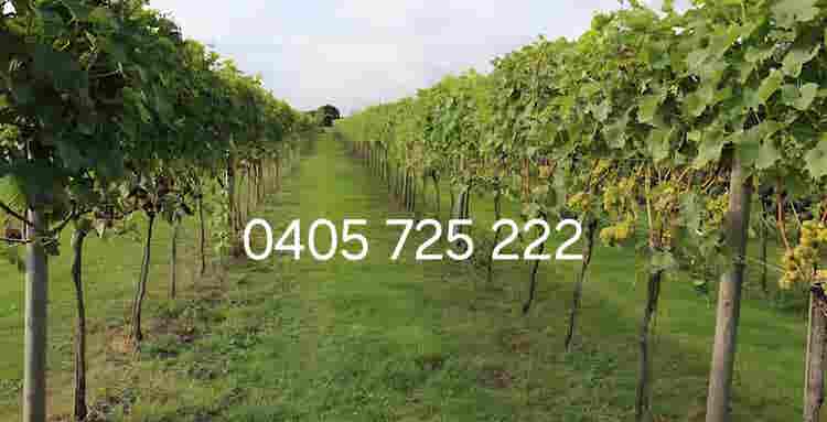 Bedrooms Available Now