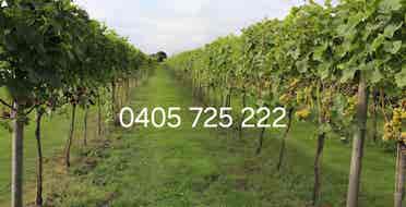Bedrooms Available Now