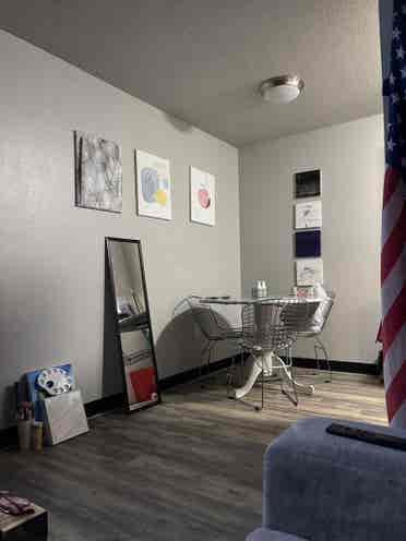 Couch/Blow Up Mattress Livingroom