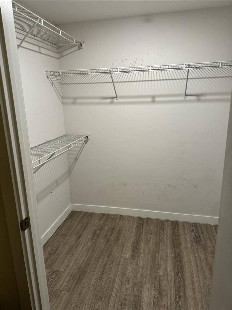Beautiful room for rent