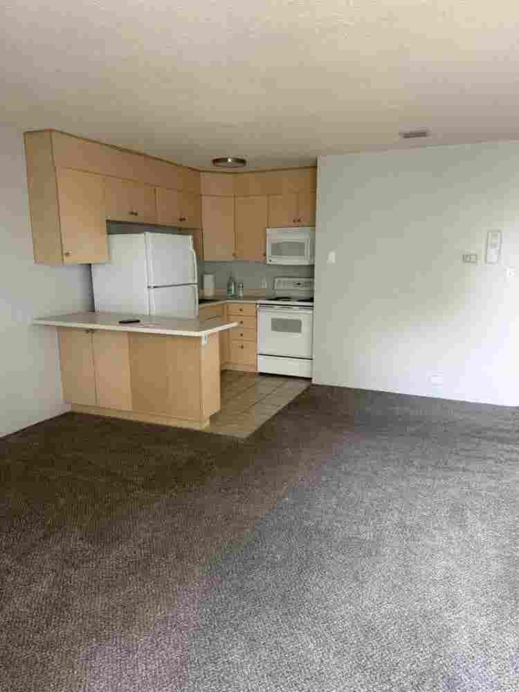 Studio available for rent