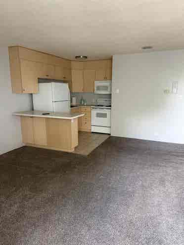 Studio available for rent