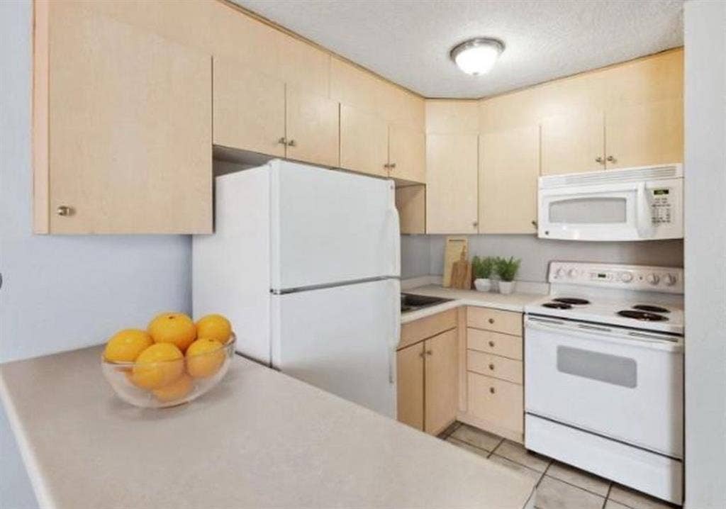 Studio available for rent