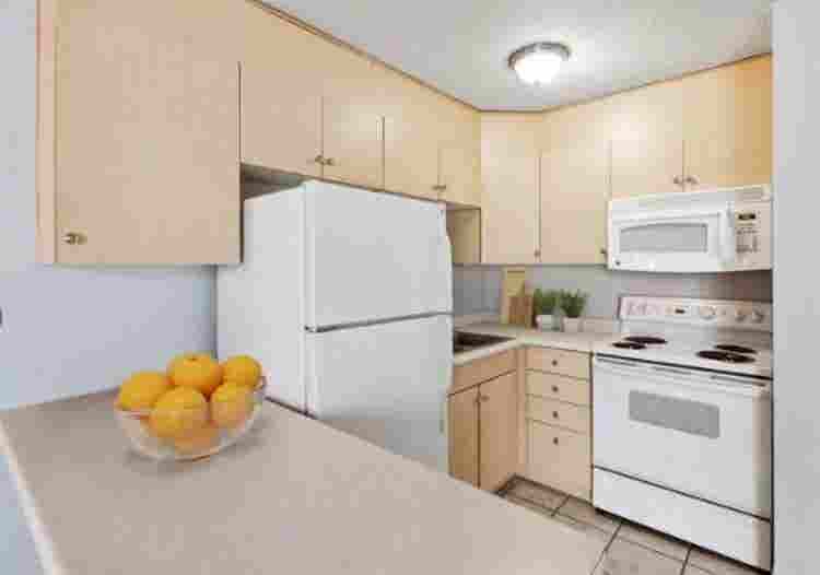 Studio available for rent
