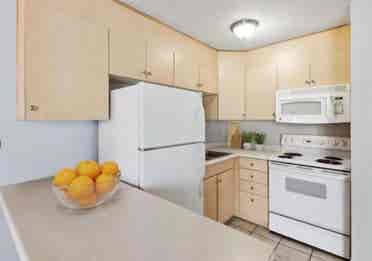 Studio available for rent