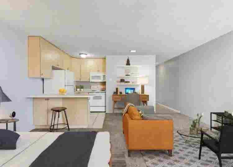Studio available for rent