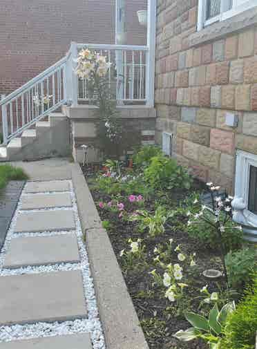 1 bedroom available in August