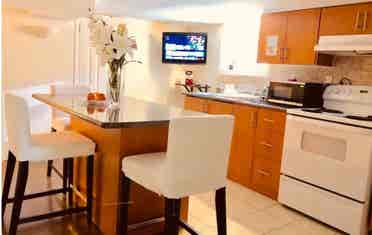 1 bedroom available in August