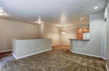 Room in apartment for rent