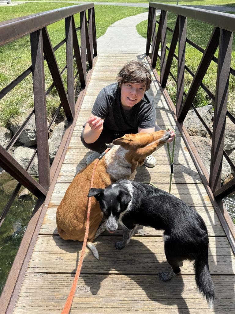 Cheap rent for help with doggos