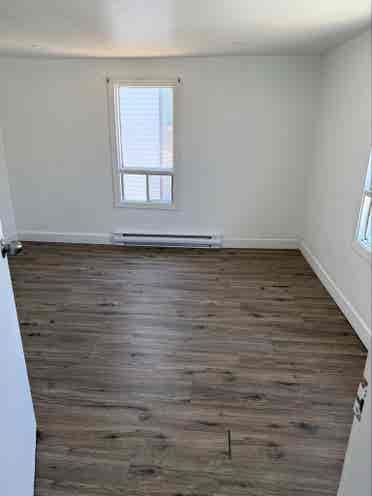 Roommate wanted