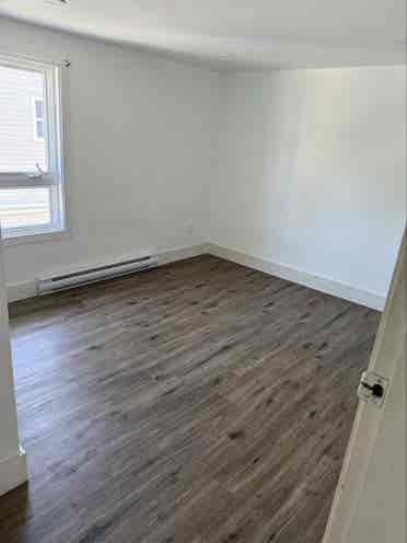 Roommate wanted