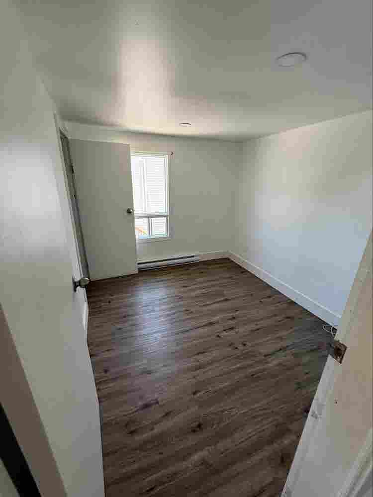 Roommate wanted