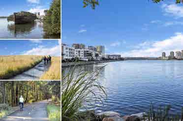 Room for Rent in Wentworth Point