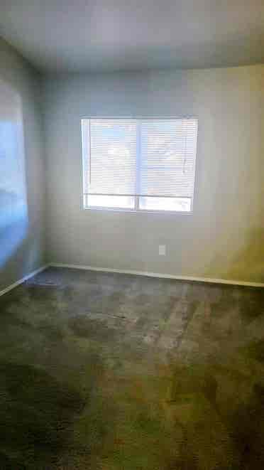 Looking for someone to share apartm
