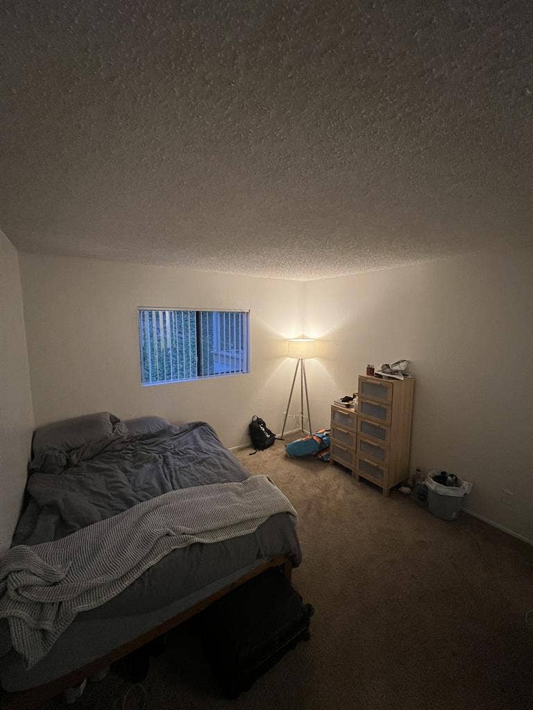 ISO Roommate in Oceanside