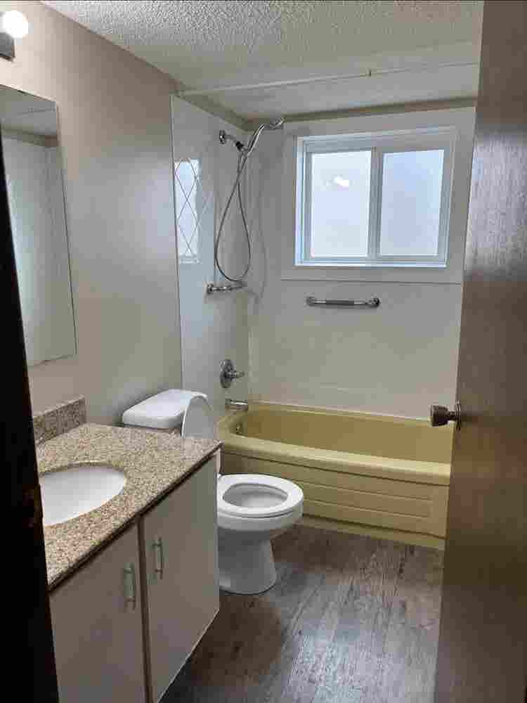 Bachelor Suite/ Studio